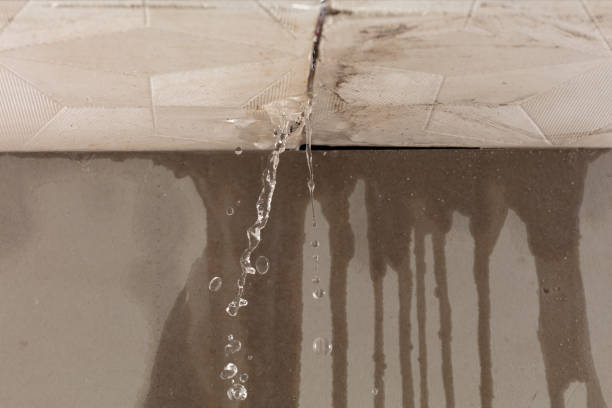 Professional Water Damage Inspection technician working in Laupahoehoe, HI